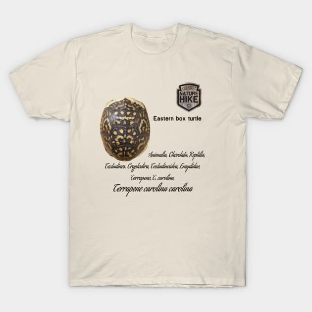 Eastern Box Turtle Shell Taxonomy T-Shirt by Nature Hike